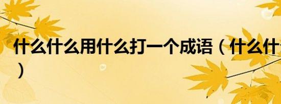 什么什么用什么打一个成语（什么什么用什么）