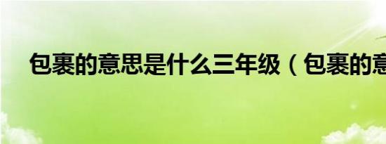 包裹的意思是什么三年级（包裹的意思）