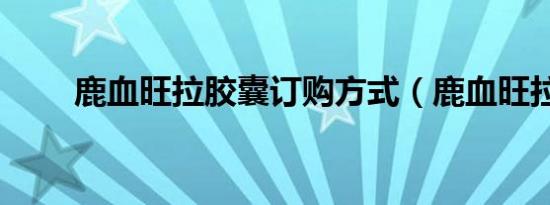 深圳凤凰路是什么地方（深圳凤凰路）