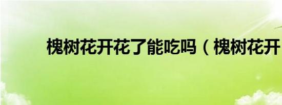 槐树花开花了能吃吗（槐树花开）