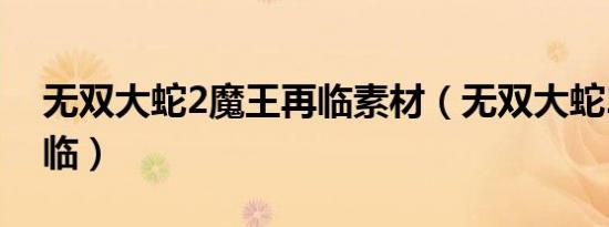 无双大蛇2魔王再临素材（无双大蛇2魔王再临）