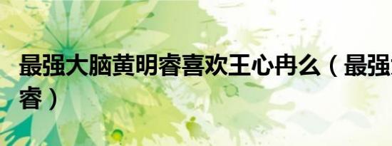 最强大脑黄明睿喜欢王心冉么（最强大脑黄明睿）