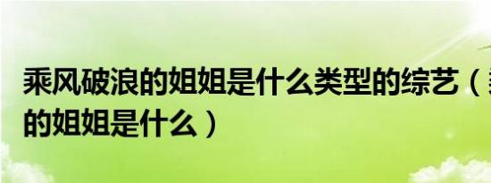 乘风破浪的姐姐是什么类型的综艺（乘风破浪的姐姐是什么）