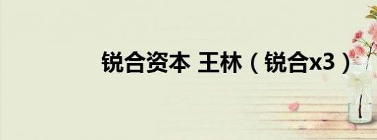 锐合资本 王林（锐合x3）