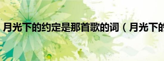 月光下的约定是那首歌的词（月光下的约定）