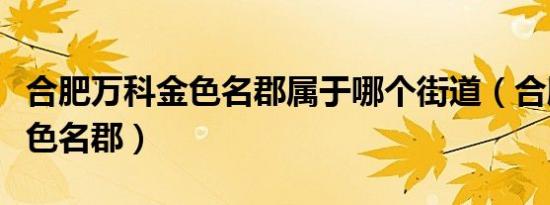合肥万科金色名郡属于哪个街道（合肥万科金色名郡）