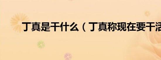 丁真是干什么（丁真称现在要干活）