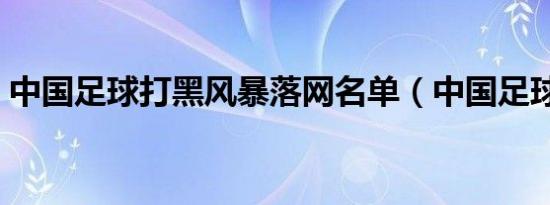 中国足球打黑风暴落网名单（中国足球打黑）
