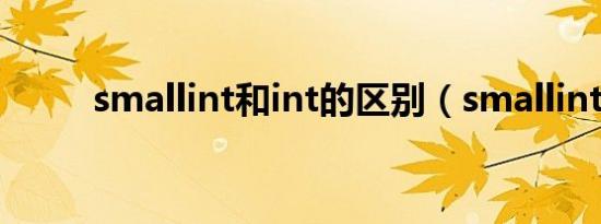 smallint和int的区别（smallint）