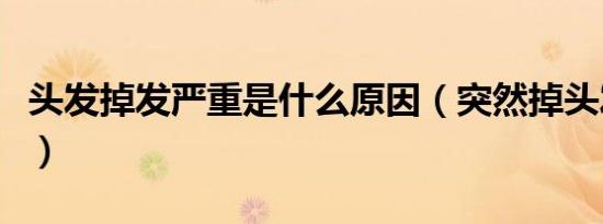 头发掉发严重是什么原因（突然掉头发很厉害）