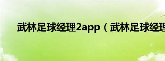 武林足球经理2app（武林足球经理2）
