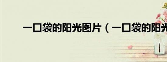 一口袋的阳光图片（一口袋的阳光）
