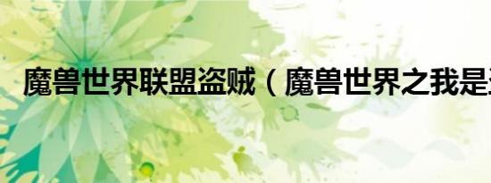 魔兽世界联盟盗贼（魔兽世界之我是盗贼）