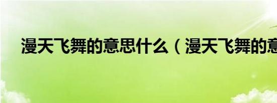 漫天飞舞的意思什么（漫天飞舞的意思）