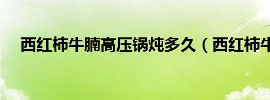 西红柿牛腩高压锅炖多久（西红柿牛腩）