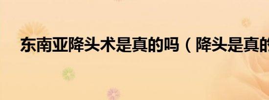 东南亚降头术是真的吗（降头是真的吗）