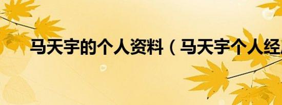 马天宇的个人资料（马天宇个人经历）