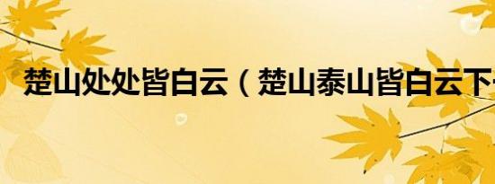 楚山处处皆白云（楚山泰山皆白云下一句）