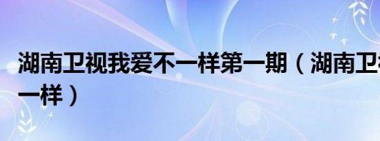 湖南卫视我爱不一样第一期（湖南卫视我爱不一样）