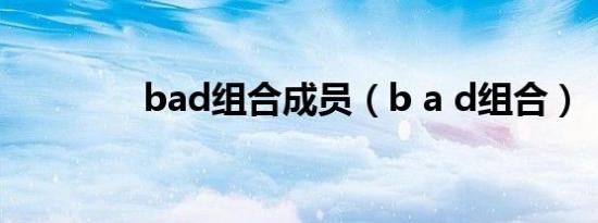 bad组合成员（b a d组合）