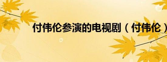 付伟伦参演的电视剧（付伟伦）