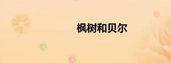枫树和贝尔