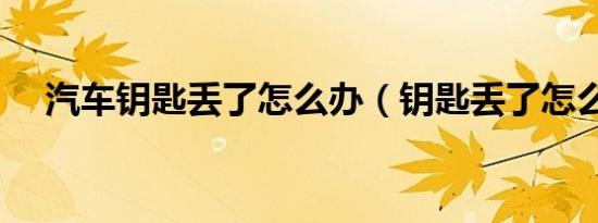 汽车钥匙丢了怎么办（钥匙丢了怎么办）