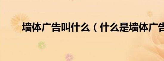 墙体广告叫什么（什么是墙体广告）