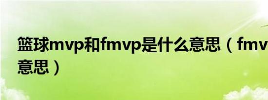 篮球mvp和fmvp是什么意思（fmvp是什么意思）