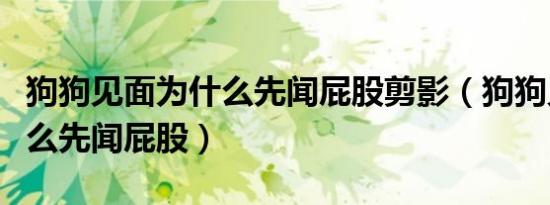 狗狗见面为什么先闻屁股剪影（狗狗见面为什么先闻屁股）