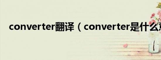 converter翻译（converter是什么意思）