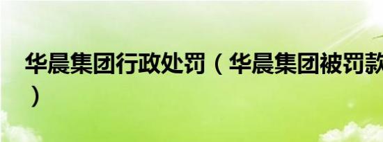 华晨集团行政处罚（华晨集团被罚款5360万）
