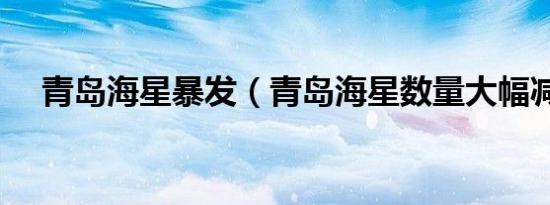 青岛海星暴发（青岛海星数量大幅减少）