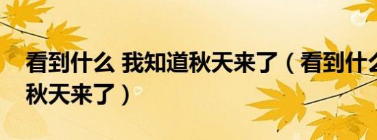 看到什么 我知道秋天来了（看到什么我知道秋天来了）
