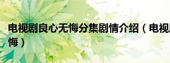 电视剧良心无悔分集剧情介绍（电视剧良心无悔）