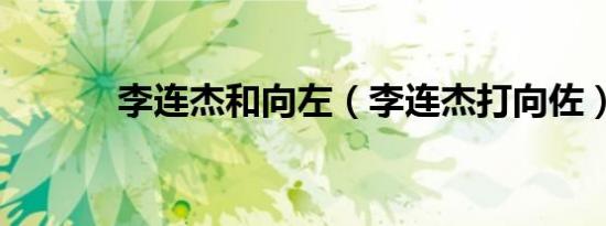 李连杰和向左（李连杰打向佐）