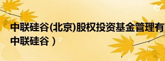 中联硅谷(北京)股权投资基金管理有限公司（中联硅谷）