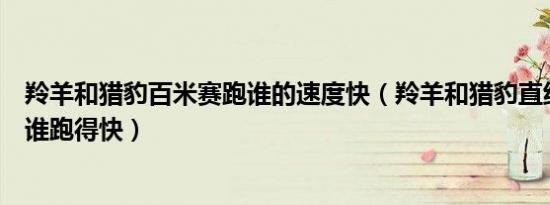 羚羊和猎豹百米赛跑谁的速度快（羚羊和猎豹直线百米赛跑谁跑得快）