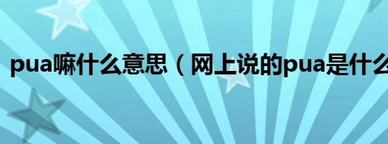 pua嘛什么意思（网上说的pua是什么意思）