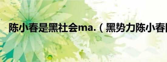 陈小春是黑社会ma.（黑势力陈小春国语）