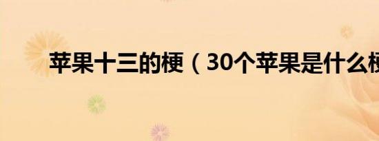 苹果十三的梗（30个苹果是什么梗）