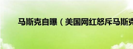 马斯克自曝（美国网红怒斥马斯克）