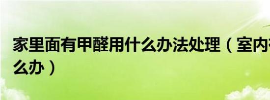家里面有甲醛用什么办法处理（室内有甲醛怎么办）