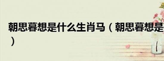 朝思暮想是什么生肖马（朝思暮想是什么生肖）