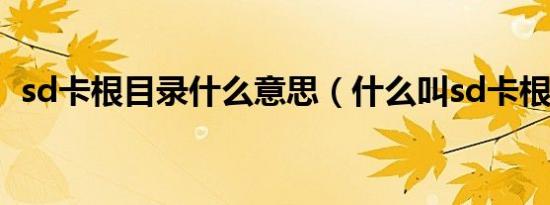 sd卡根目录什么意思（什么叫sd卡根目录）