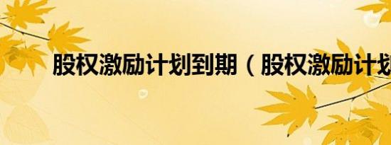 股权激励计划到期（股权激励计划）