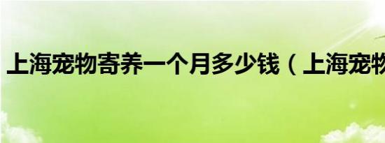 上海宠物寄养一个月多少钱（上海宠物寄养）