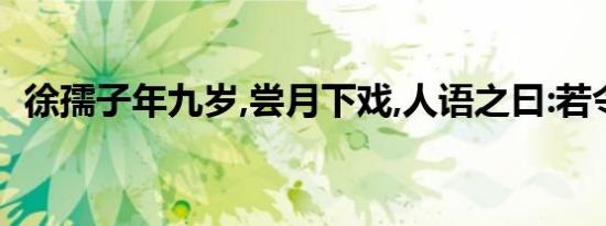 徐孺子年九岁,尝月下戏,人语之曰:若令翻译
