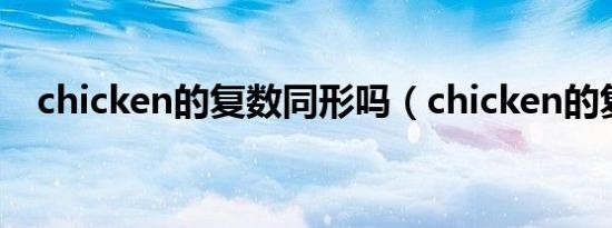 chicken的复数同形吗（chicken的复数）