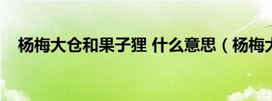 杨梅大仓和果子狸 什么意思（杨梅大仓）